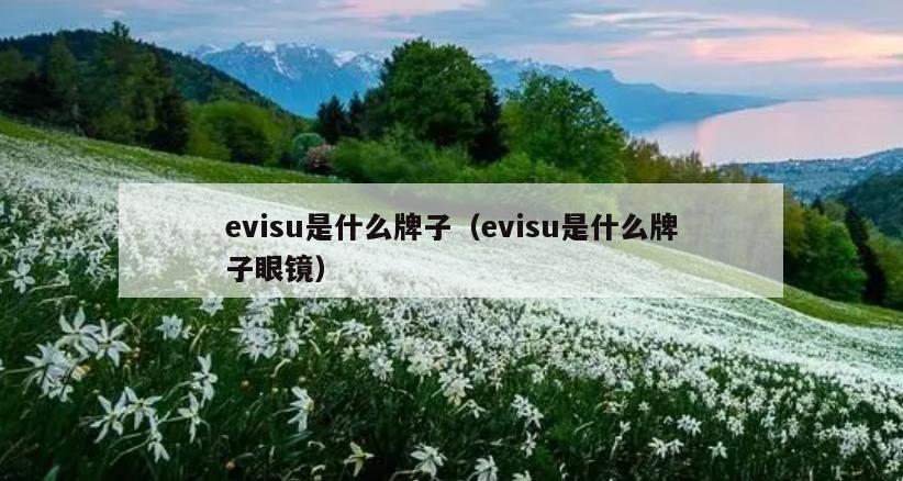 evisu是什么牌子（evisu是什么牌子眼镜）