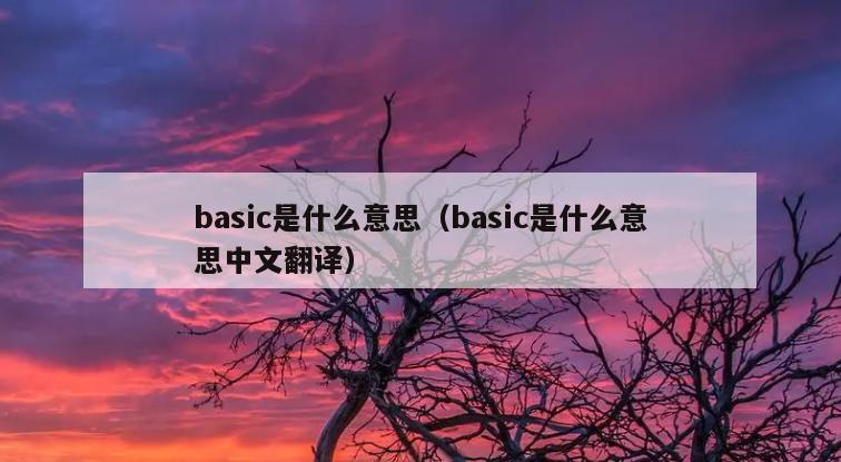 basic是什么意思（basic是什么意思中文翻译）