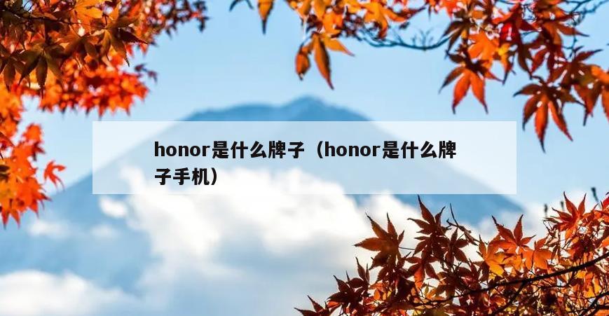 honor是什么牌子（honor是什么牌子手机）