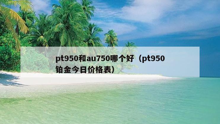 pt950和au750哪个好（pt950铂金今日价格表）