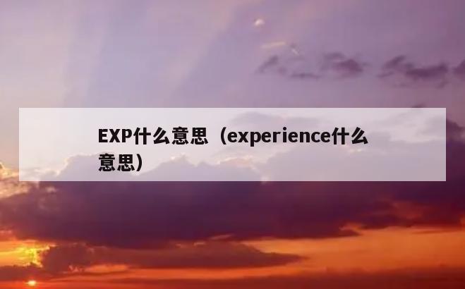EXP什么意思（experience什么意思）