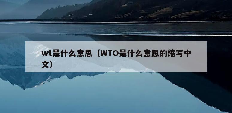 wt是什么意思（WTO是什么意思的缩写中文）
