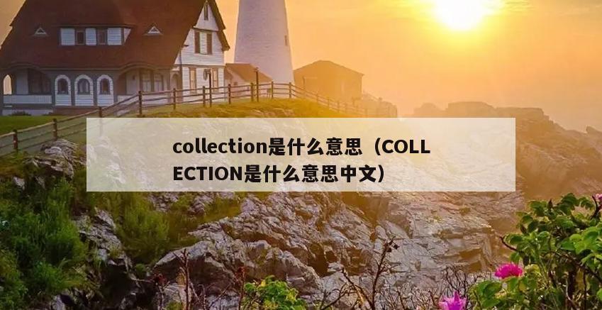 collection是什么意思（COLLECTION是什么意思中文）