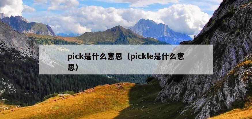 pick是什么意思（pickle是什么意思）
