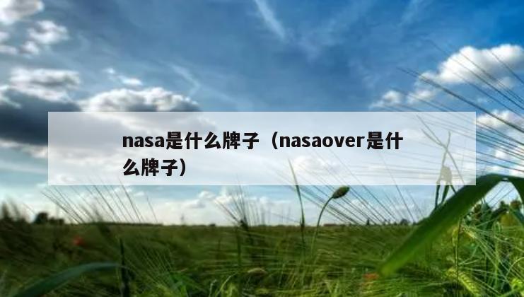 nasa是什么牌子（nasaover是什么牌子）