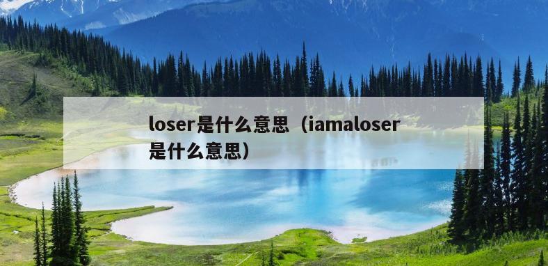 loser是什么意思（iamaloser是什么意思）